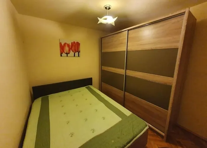 Apartment Fabi Timisoara