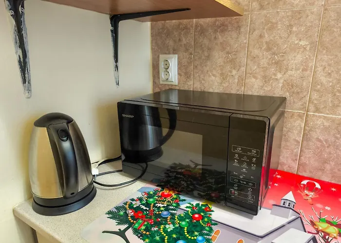 Fabi Apartment Timisoara